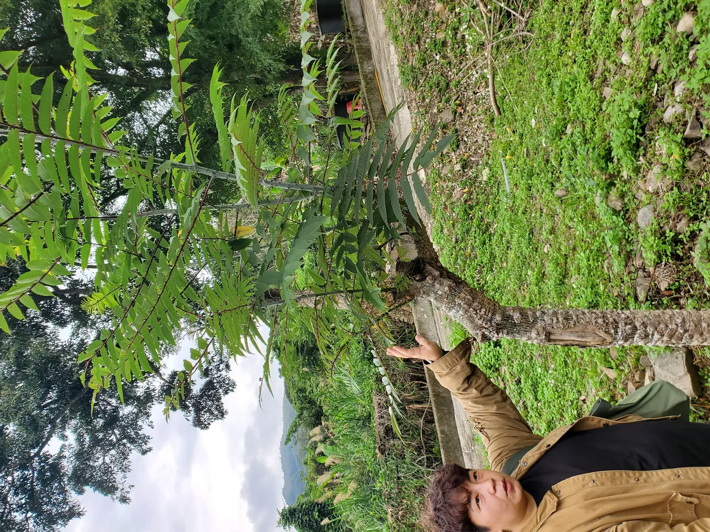 復興鄉地方參訪活動紀錄照片 4