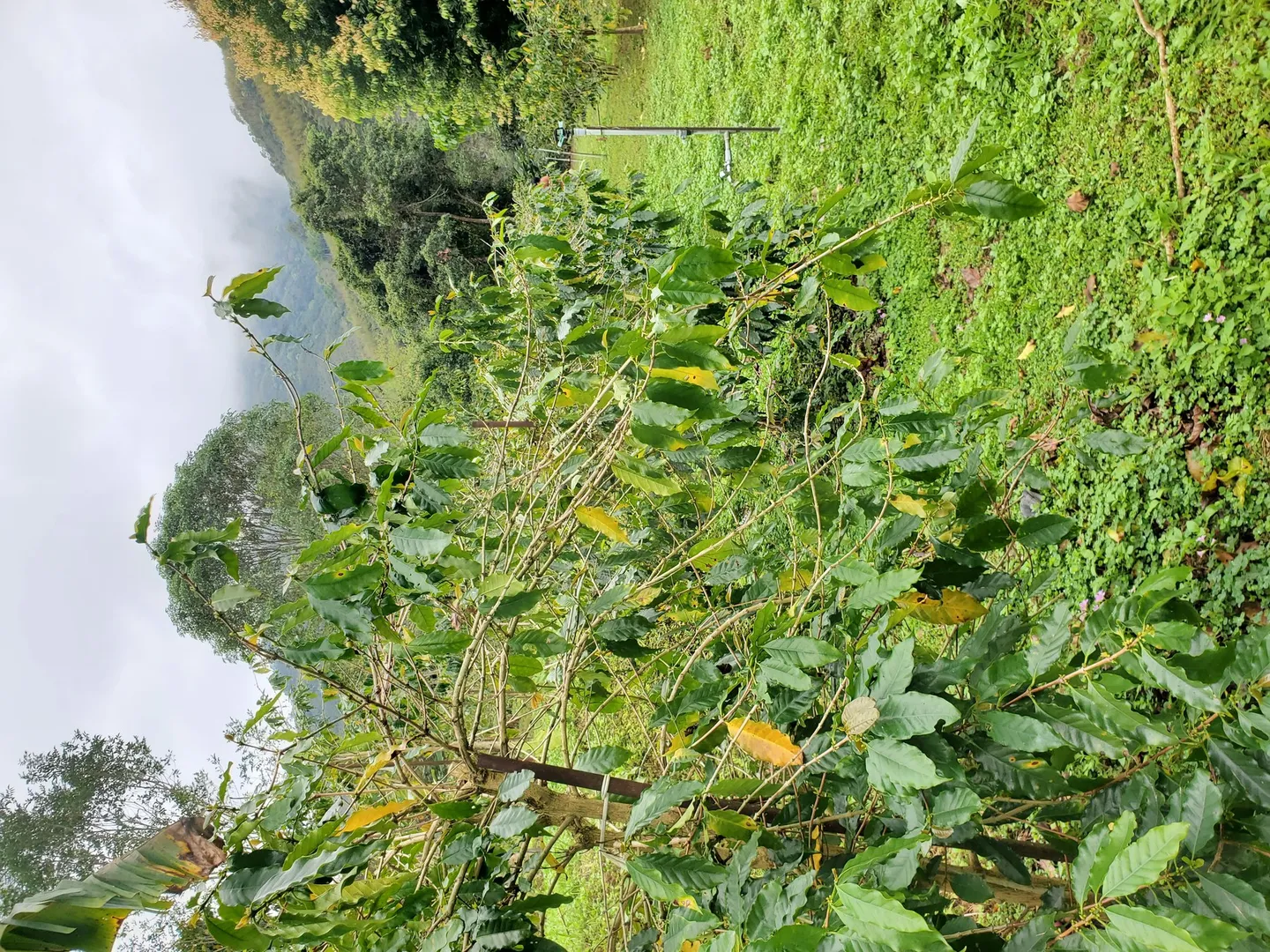 復興鄉地方參訪活動紀錄照片 6