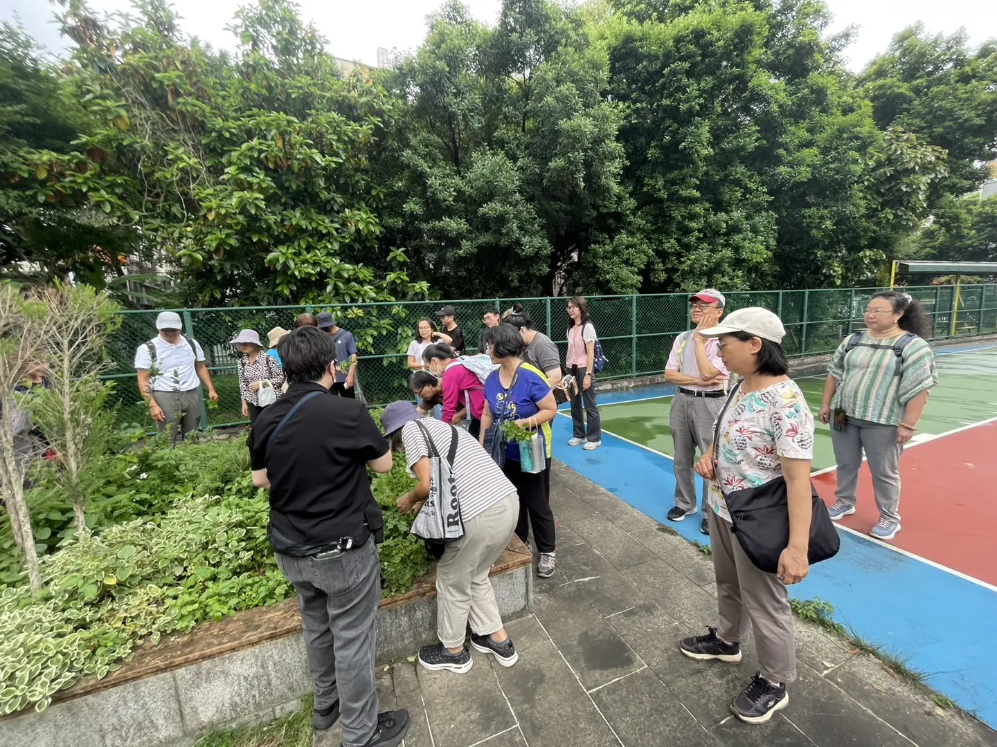 香草入菜到黃昏秘境活動紀錄照片 3
