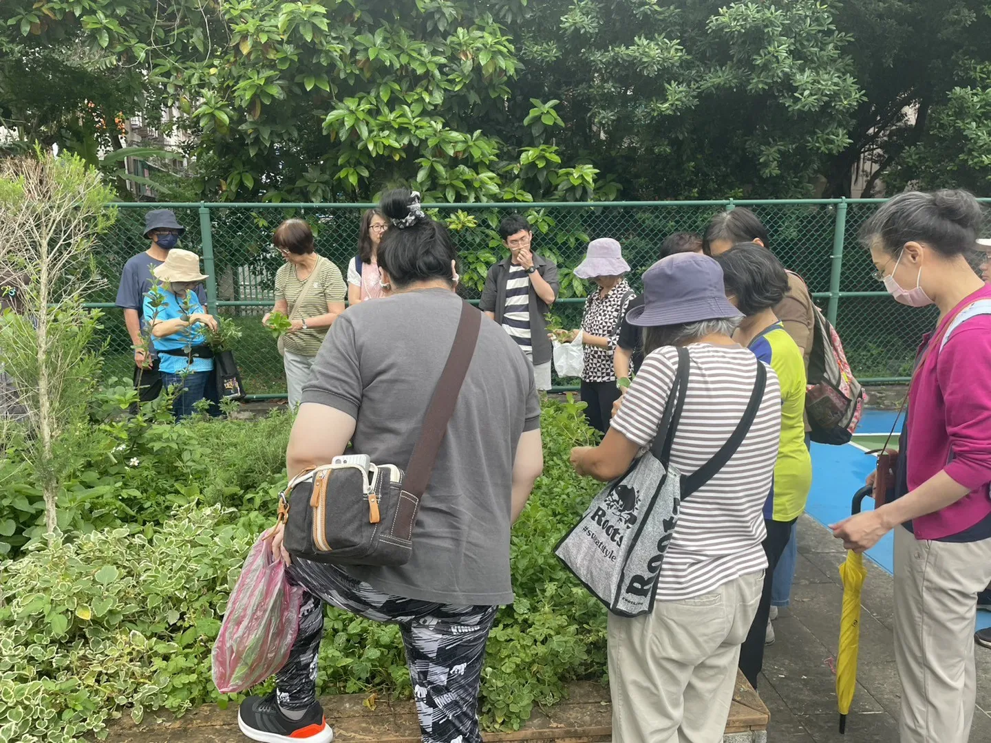 香草入菜到黃昏秘境活動紀錄照片 6